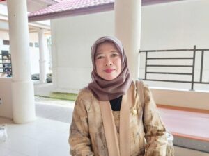 Nurul Hikmah, Anggota DPRD Barsel