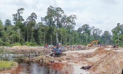 Foto : Proses evakuasi korban insiden terceburnya DT bermuatan batu bara di Jl. Hauling PT. TriOP, Selasa (22/10/2024).