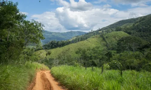 Bagaimana Infrastruktur Transportasi Berpengaruh pada Deforestasi di Amazon Peru