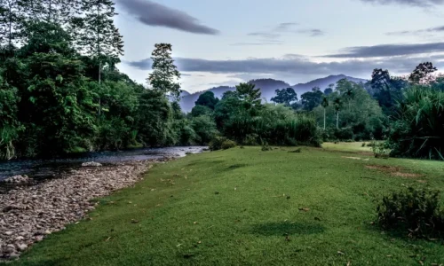 Dari Tidak Membahayakan menjadi Membuat Lebih Baik Pembelajaran Awal dari Implementasi Perlindungan REDD+ di Indonesia